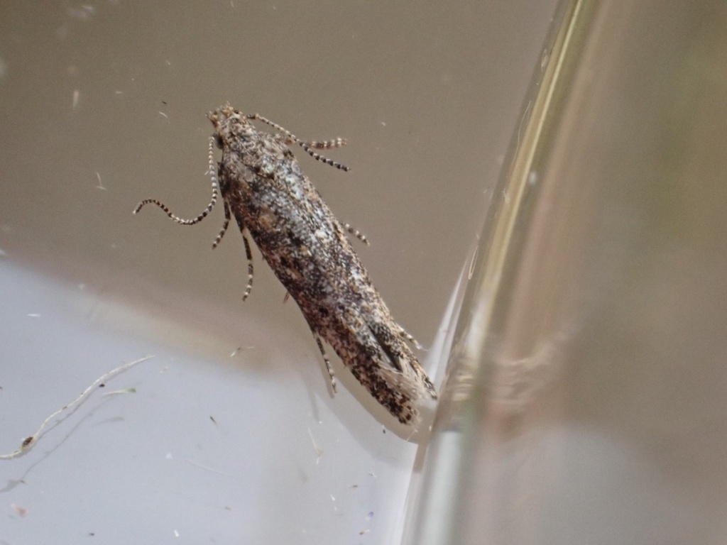 Karaokeking19Broughton Astley Garden22 October 2023