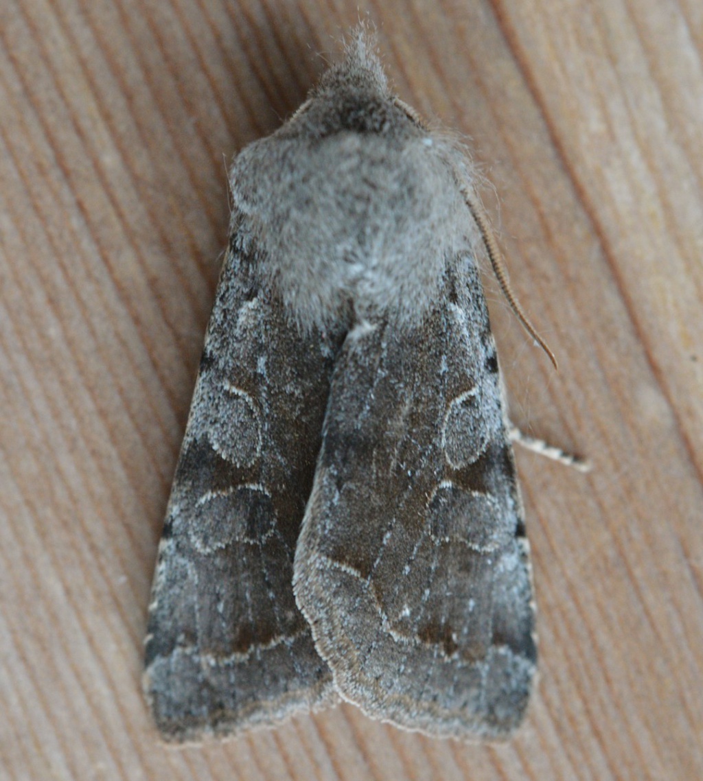 Barbara CooperLong Clawson15 March 2022