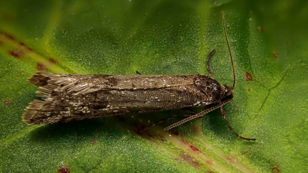 glfmaf14Charnwood Lodge 09 October 2021