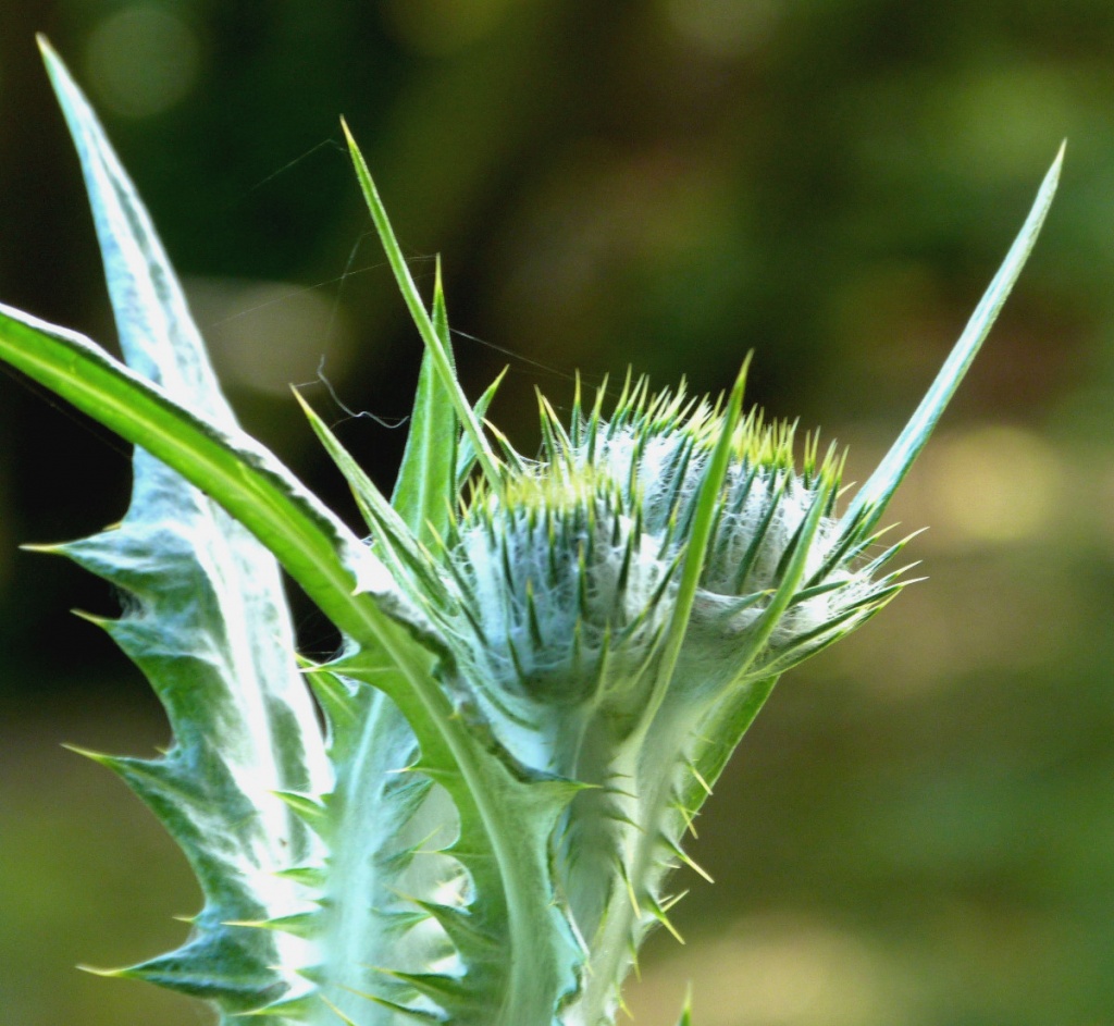 Graham CalowA5 Witherley 23 May 2016