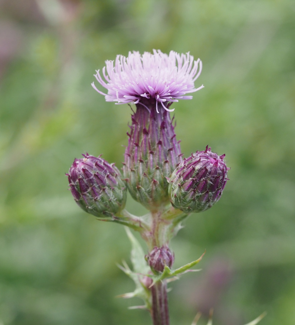 David NichollsRatby, Burroughs Road06 July 2023