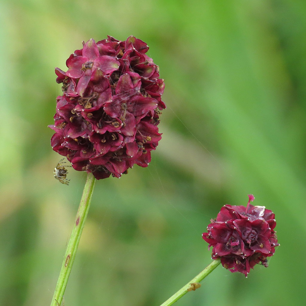 David GouldAylestone Meadows15 August 2014