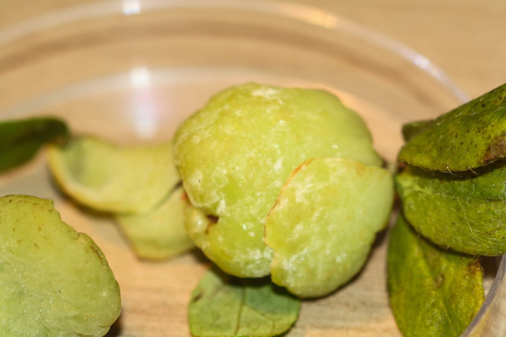 Ray PearceShepshed garden17 June 2018on an Azalea