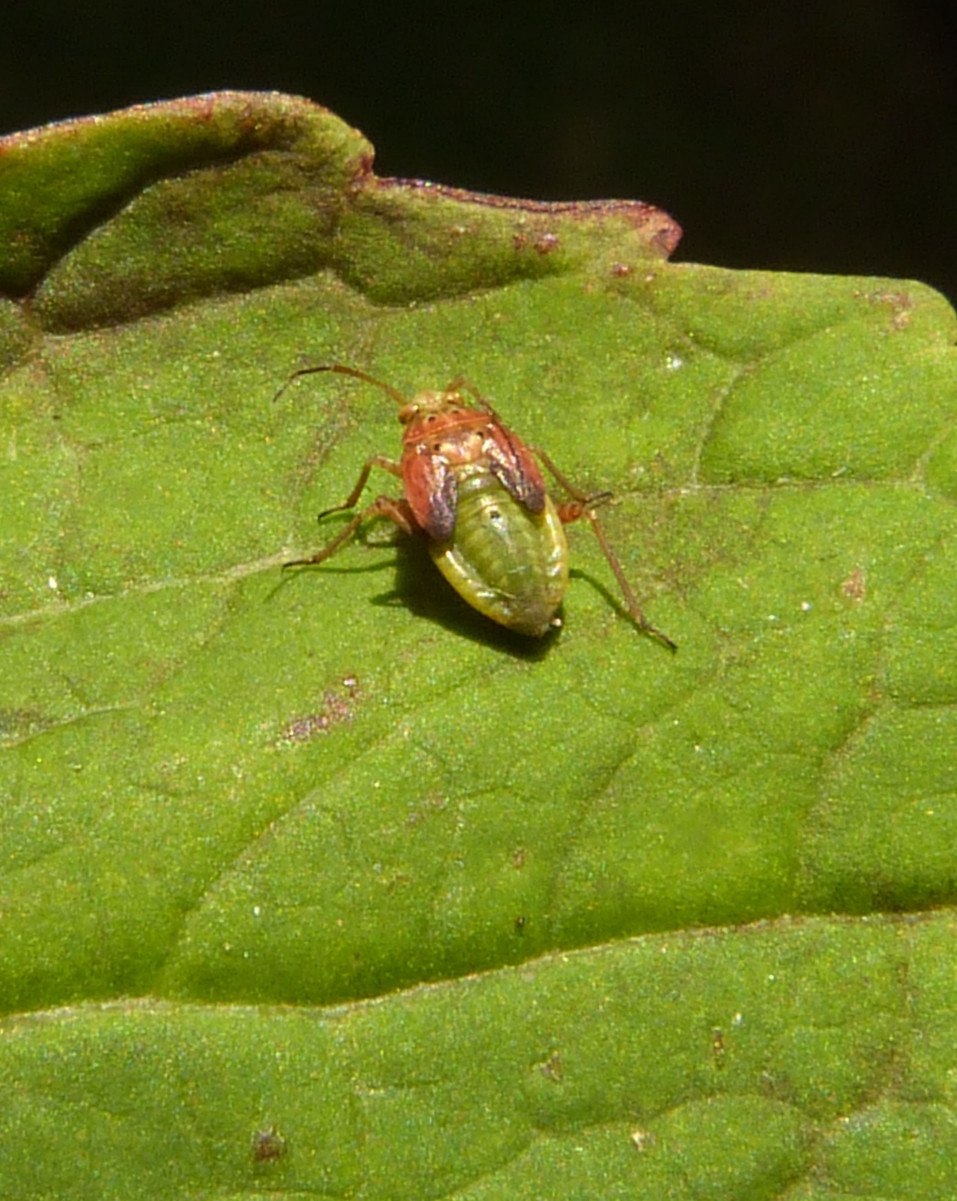 David NichollsRatby Church29 March 2014