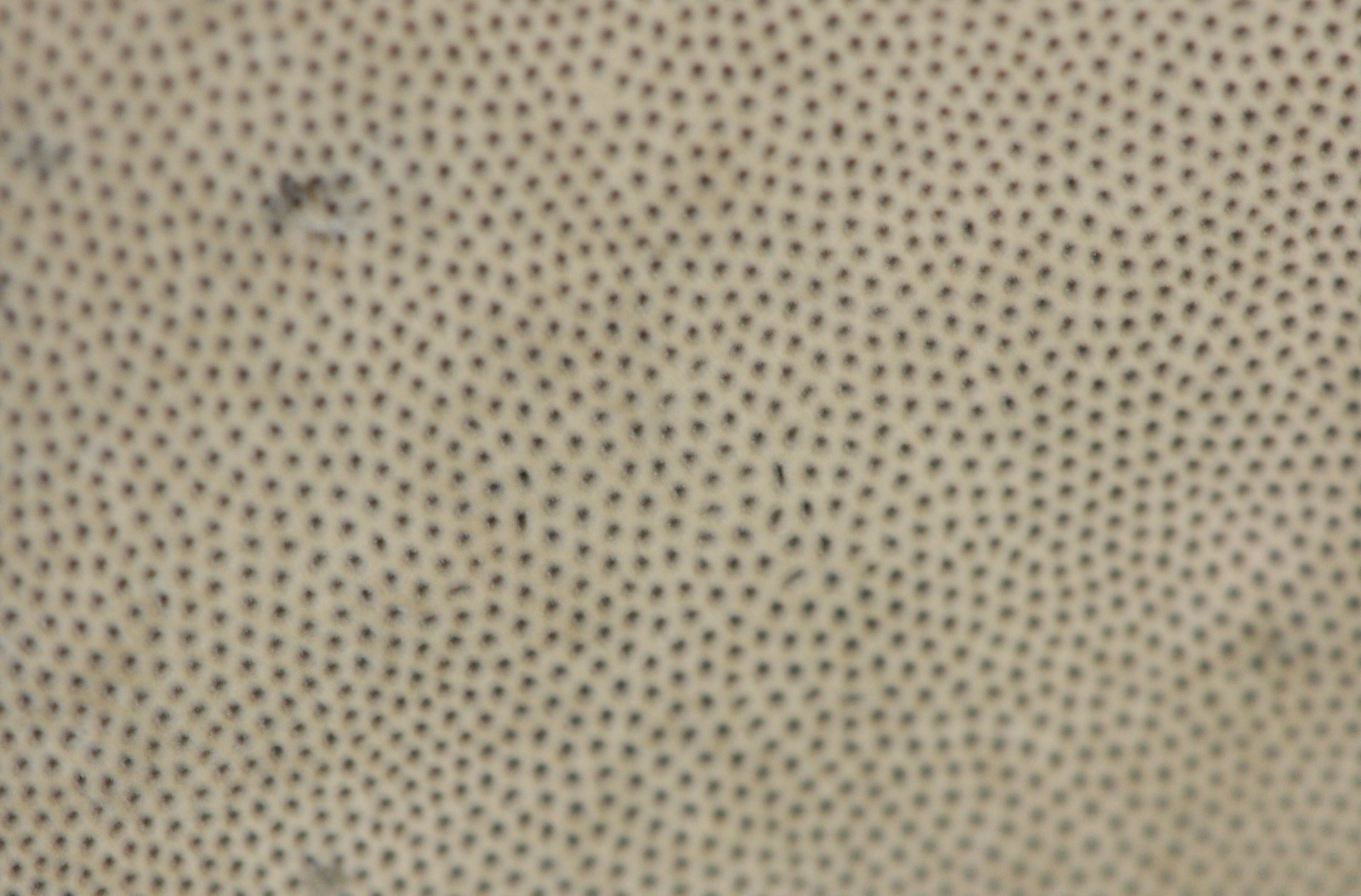 Ron.stevens Ulverscroft NR 08 September 2011