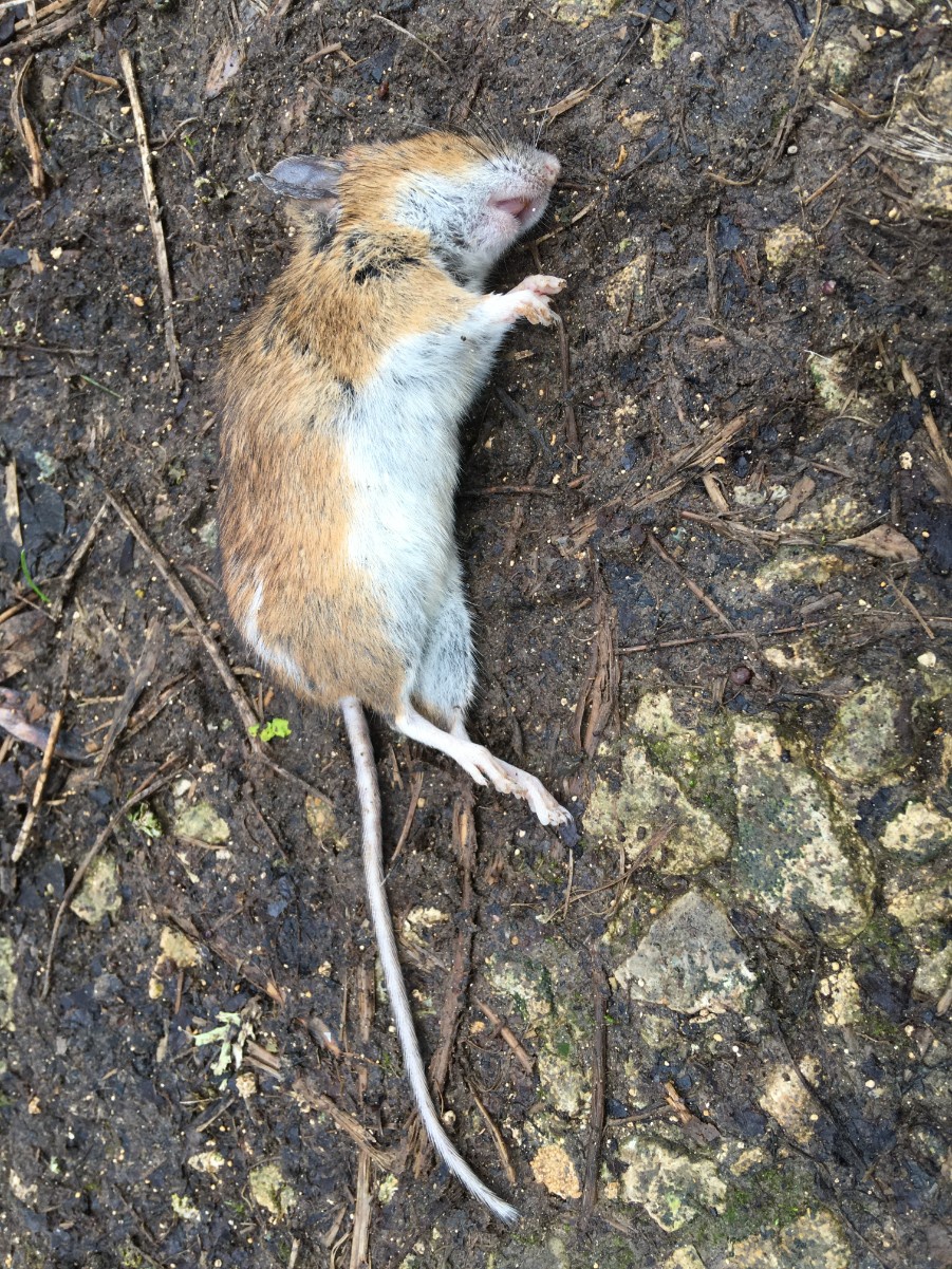 Katie FieldWymondham01 October 2021