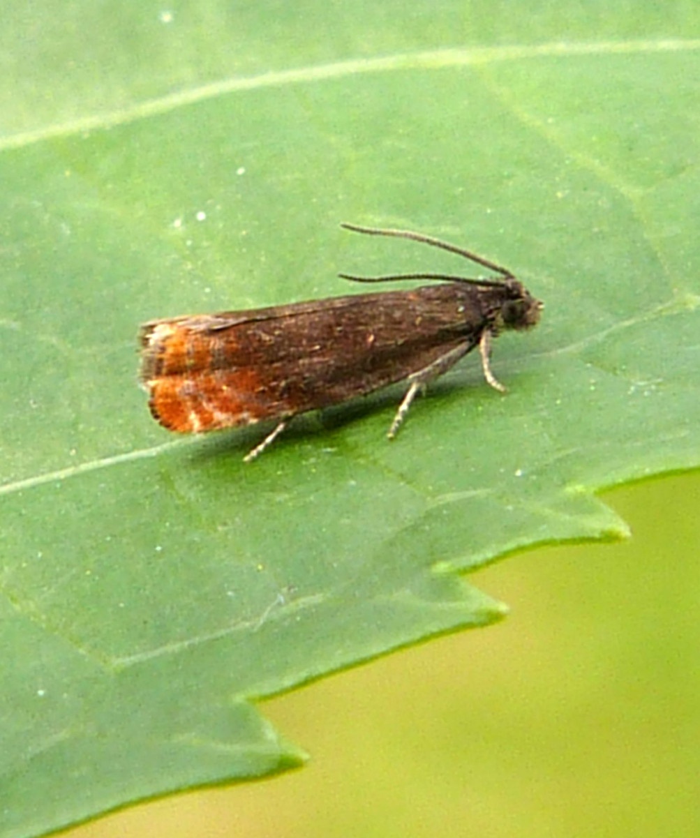 Graham CalowSapcote04 May 2014