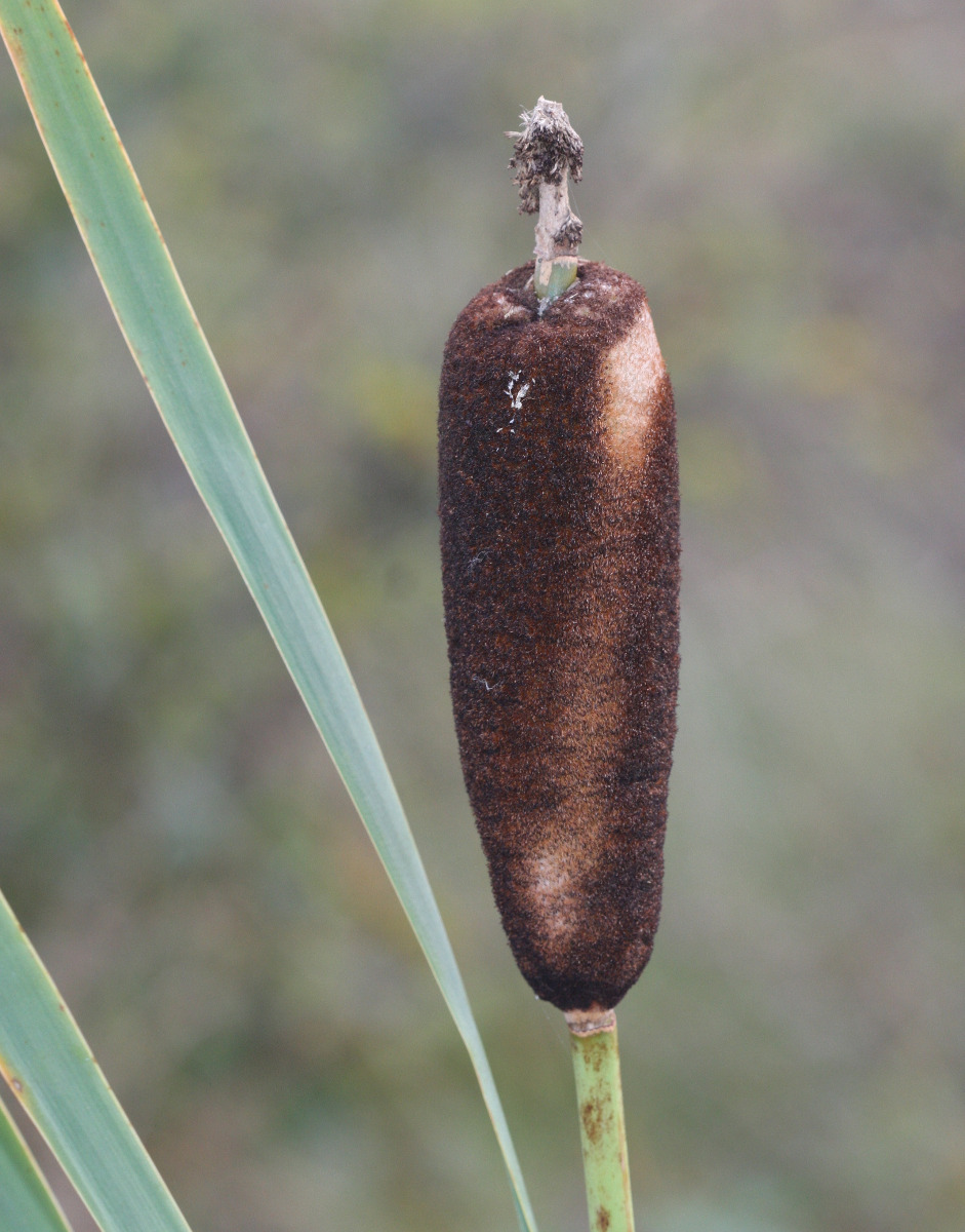 David NichollsBagworth Heath17 September 2011