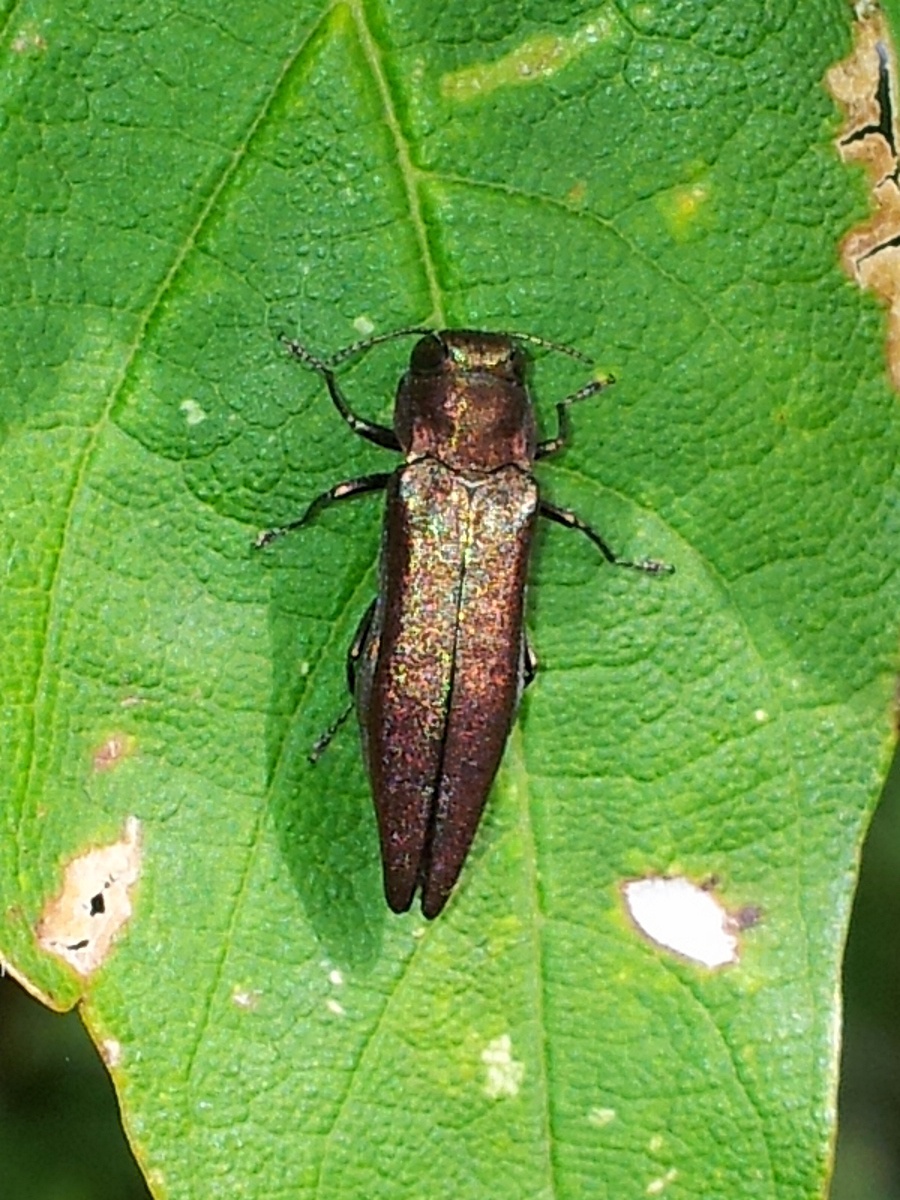 Mike HiggottCounty Hall14 September 2016