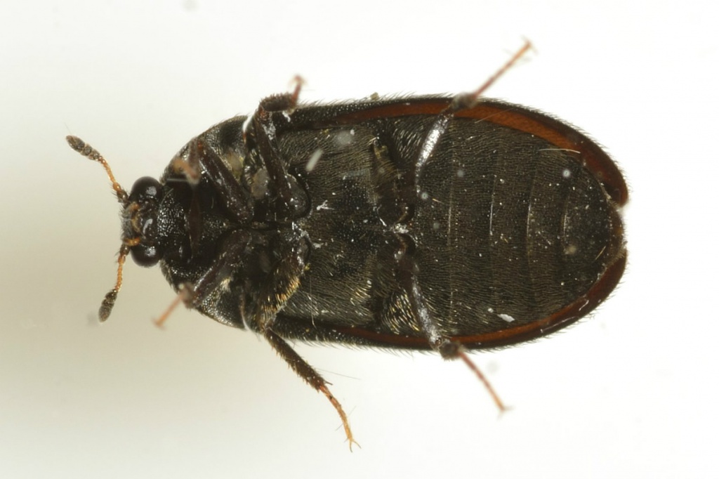 Barbara CooperLong Clawson11 June 2014