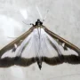 280