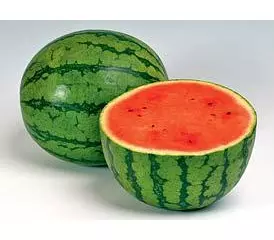 арбуз на бахче. сорт арбуза скорик. семена гавриш удачные семена семян больше арбуз ультраскороспелый 2 г. почему не живут арбузы. кримстар f1 арбуз.