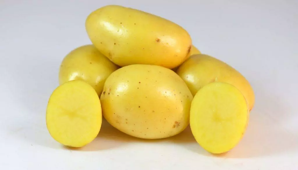 картофель сорт сесиль. сорт гала венета. семенной картофель. картофель грушевидной формы сорта. сорт картофеля лимонка.