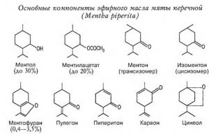 Формула молекулы Эфирные масла тимьяна и перечной мяты| Formula of active ingredient Peppermint and thyme essential oil 